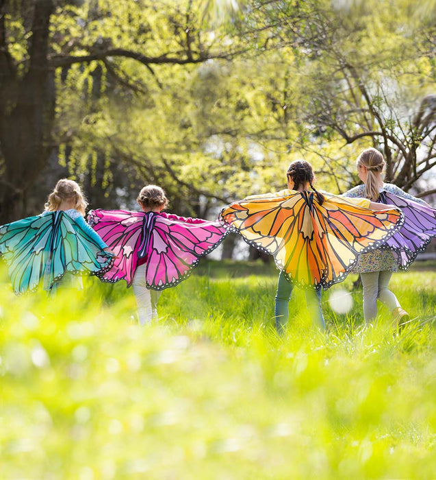 Colorful Butterfly Wings